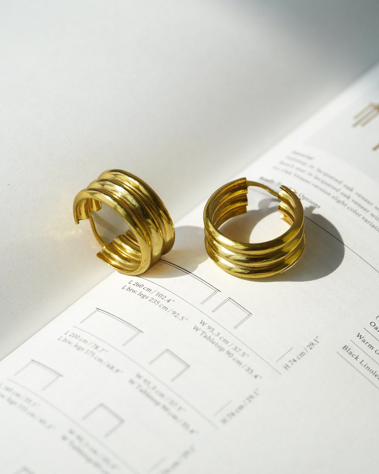 Zoya Hoops
