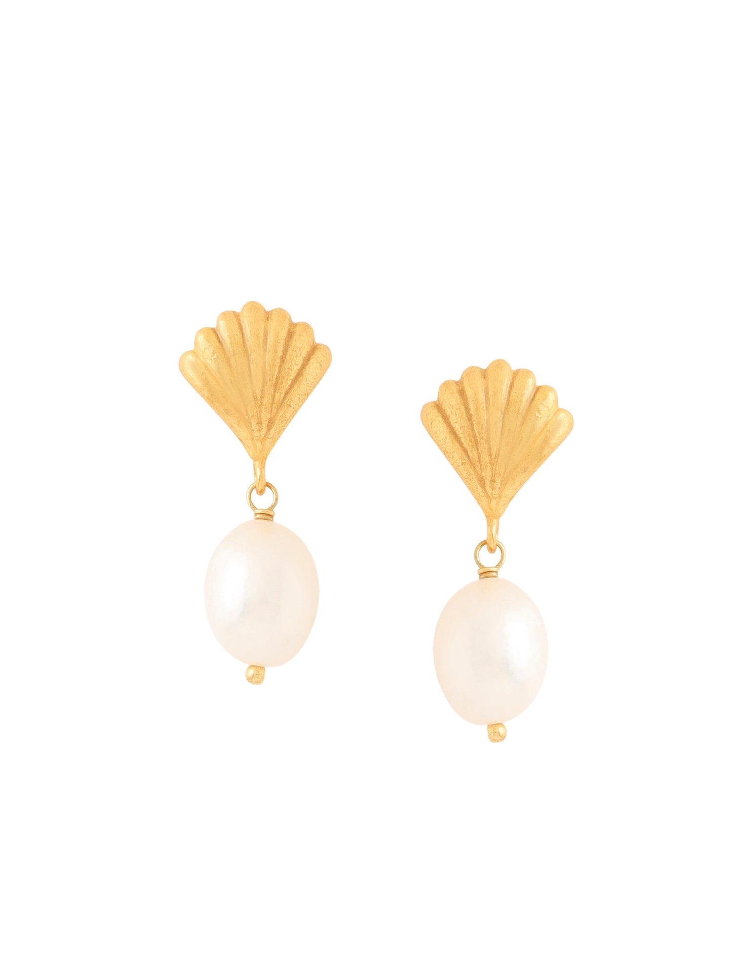 Shell Earrings