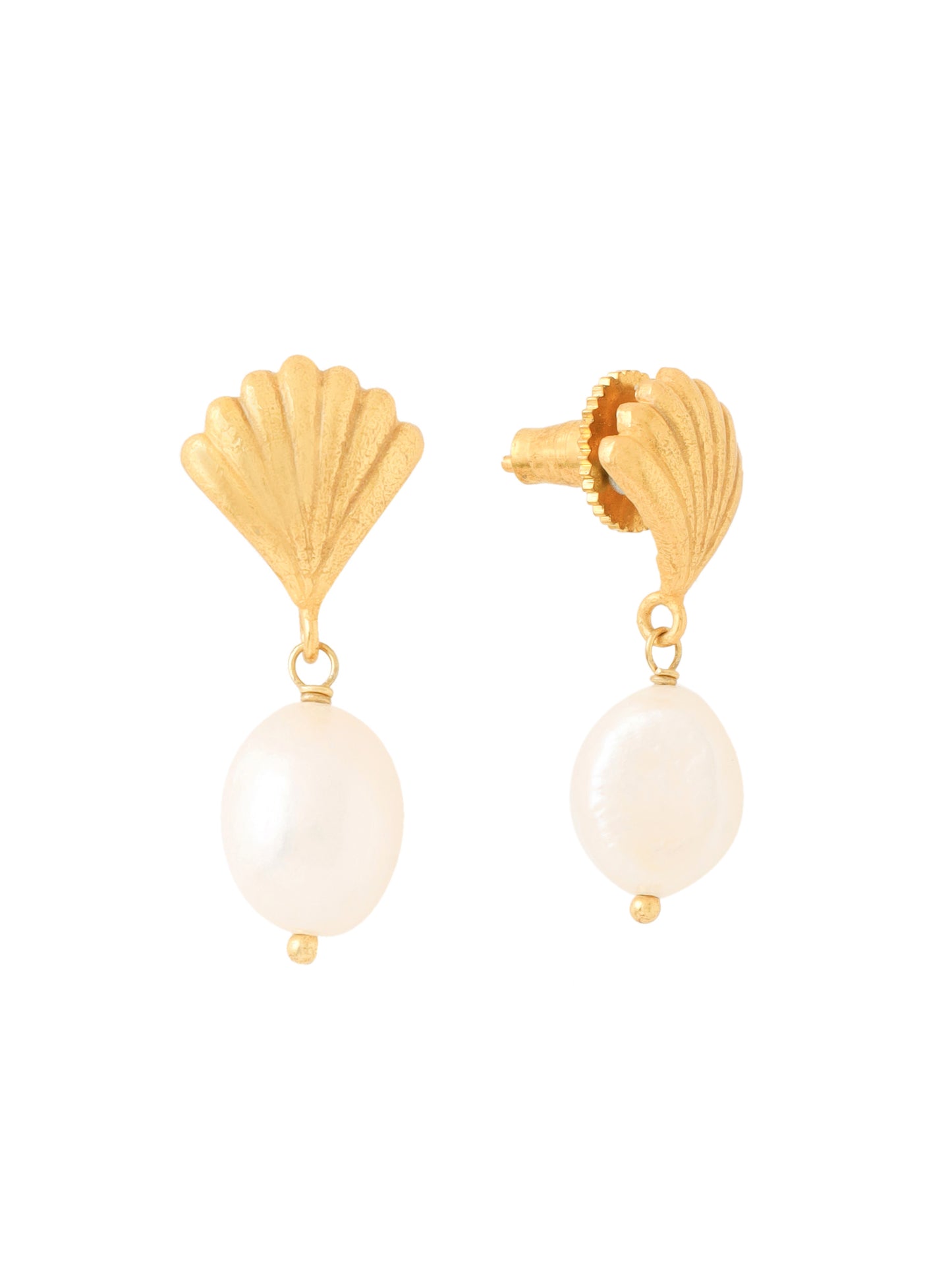 Shell Earrings