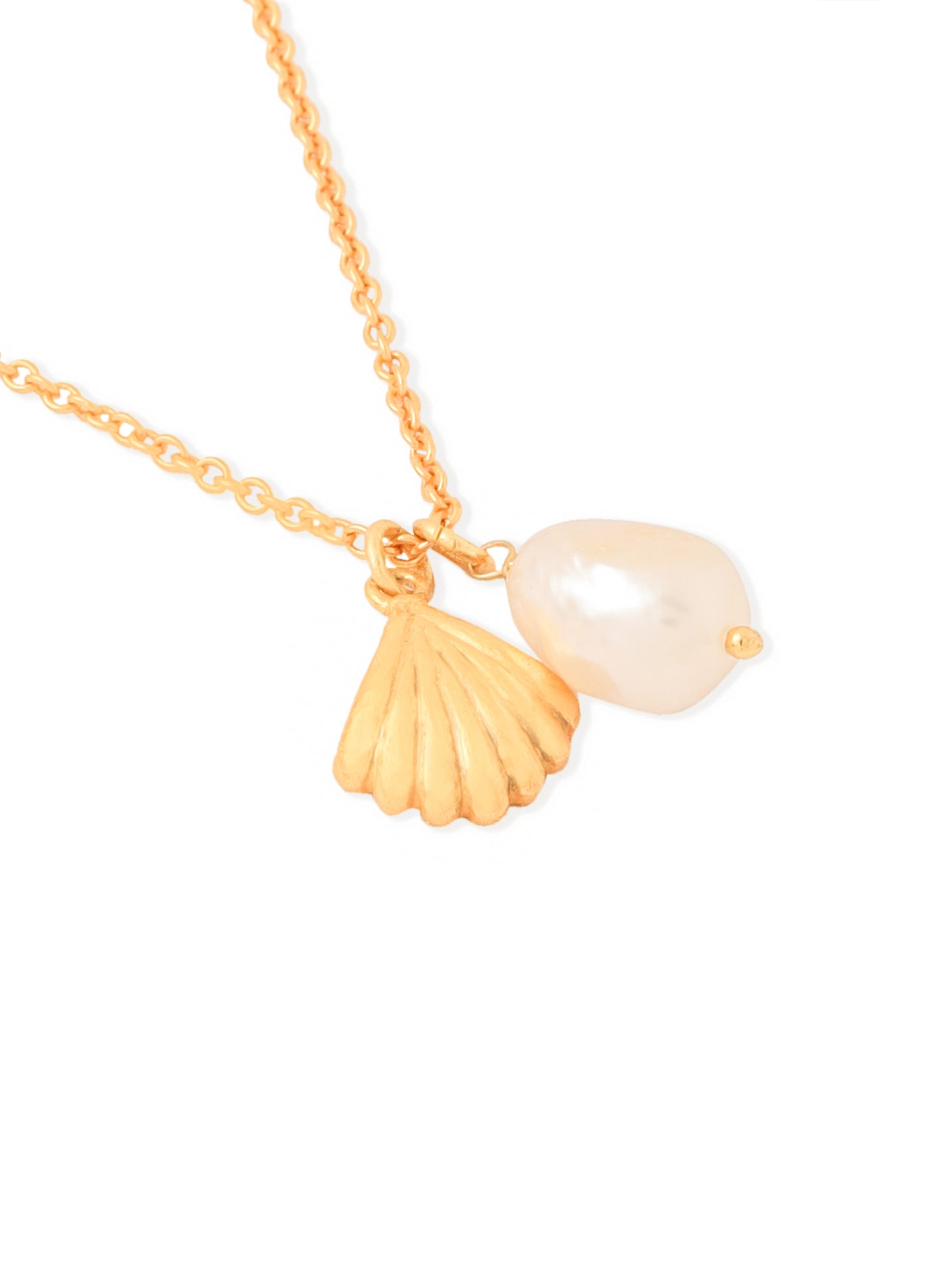 Shell Necklace